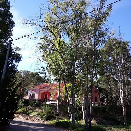 Casas Rurales "Paraje El Cajal" Ojós Exteriér fotografie