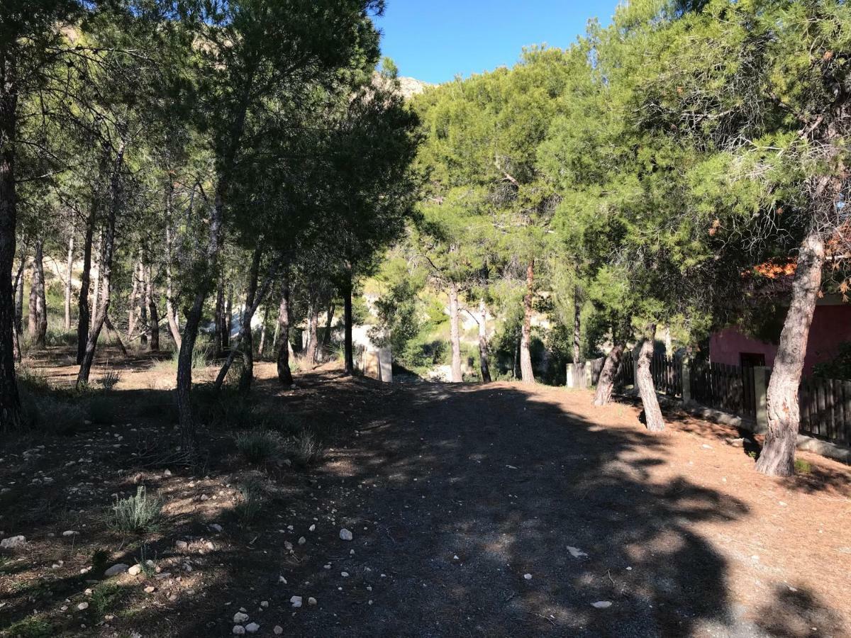 Casas Rurales "Paraje El Cajal" Ojós Exteriér fotografie
